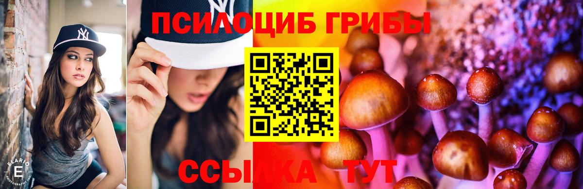 Псилоцибиновые грибы ЛСД  Псилоцибиновые грибы мухоморы  Вход с VPN  Луга 